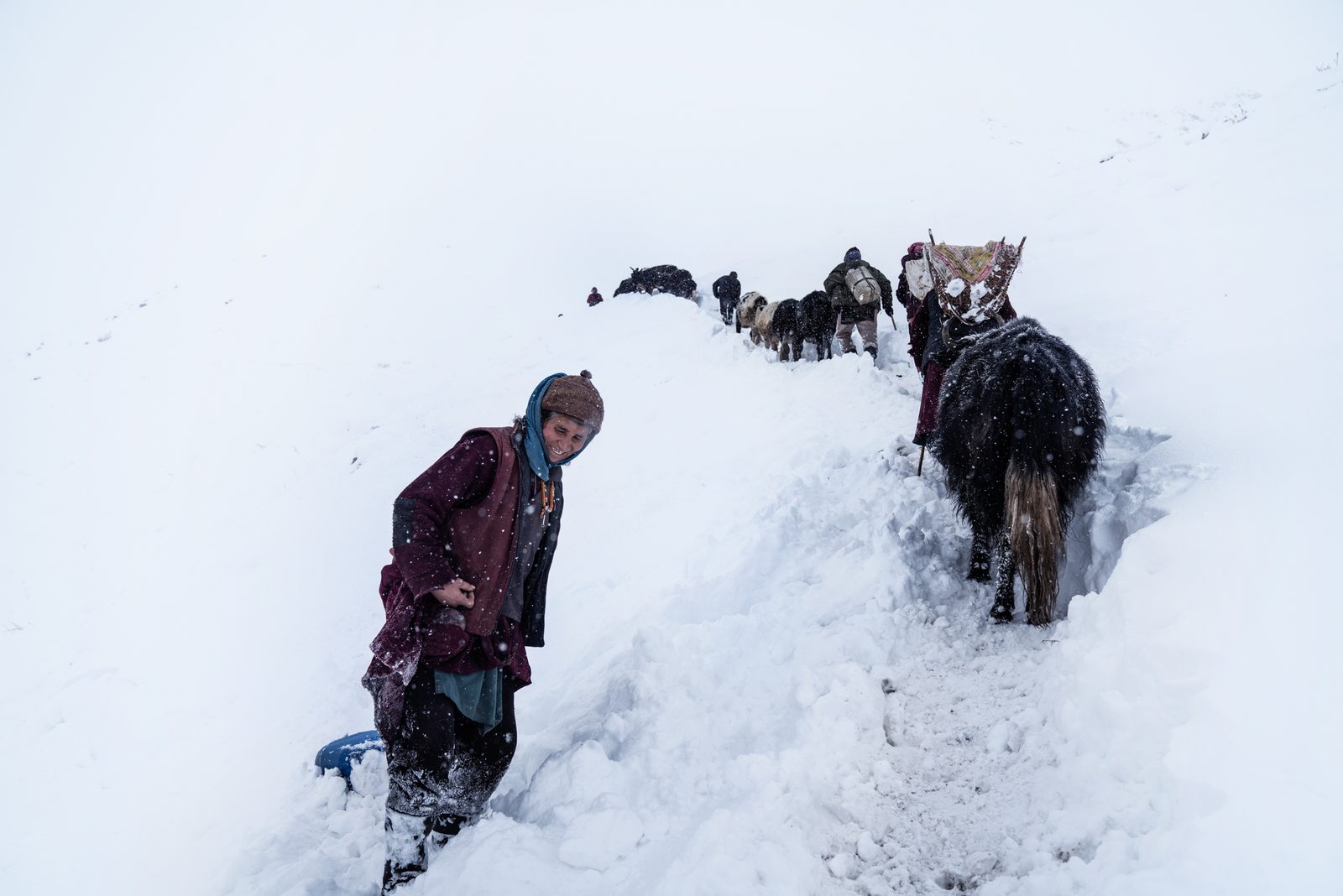 Pema Dolma drags her jerry can of water down the mountainside while livestock push through the snow to access water