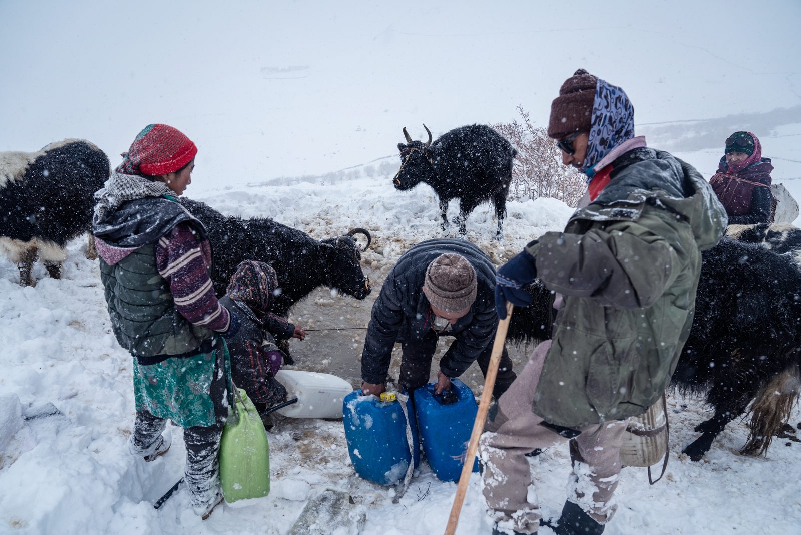 The villagers of Kumik and their livestock come to the spring to access water.