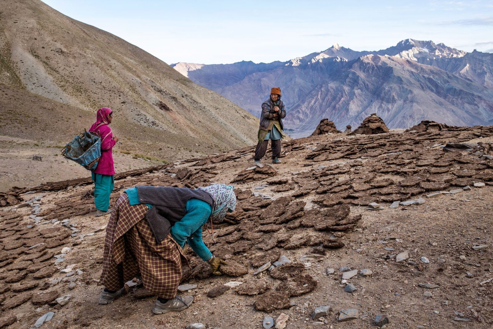 The villagers of Kumik lay out cow dung to dry to be used later as fuel