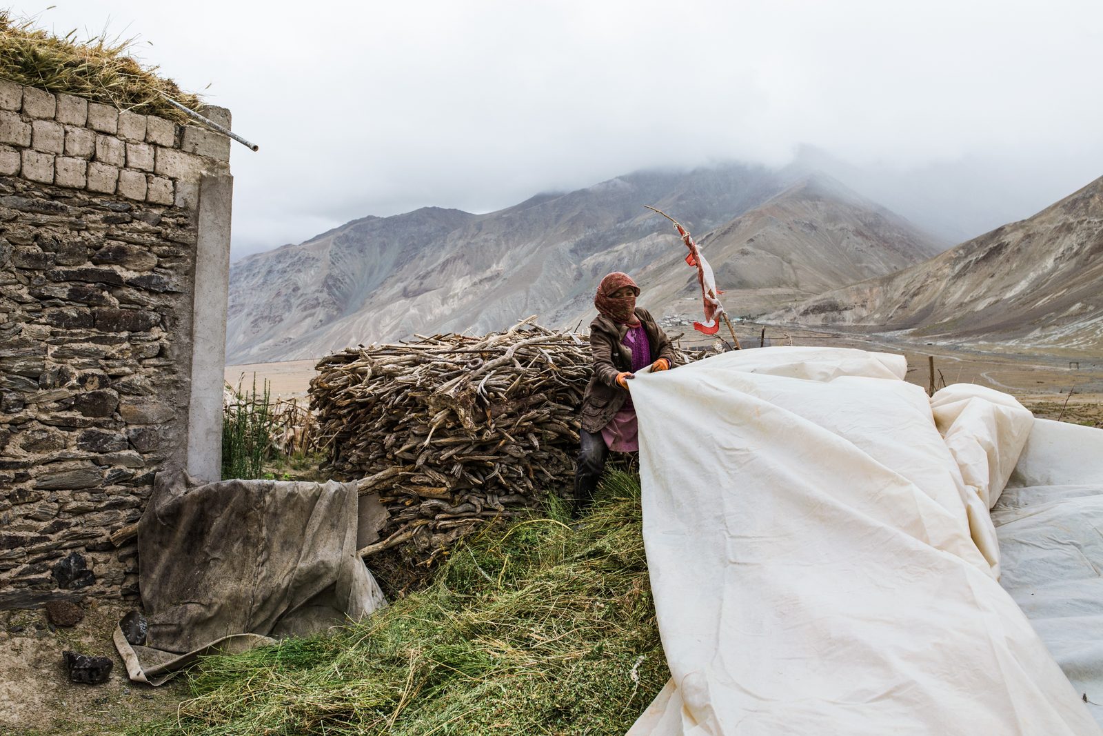 Thukjay Dolma of Lower Kumik covers her dried livestock fodder