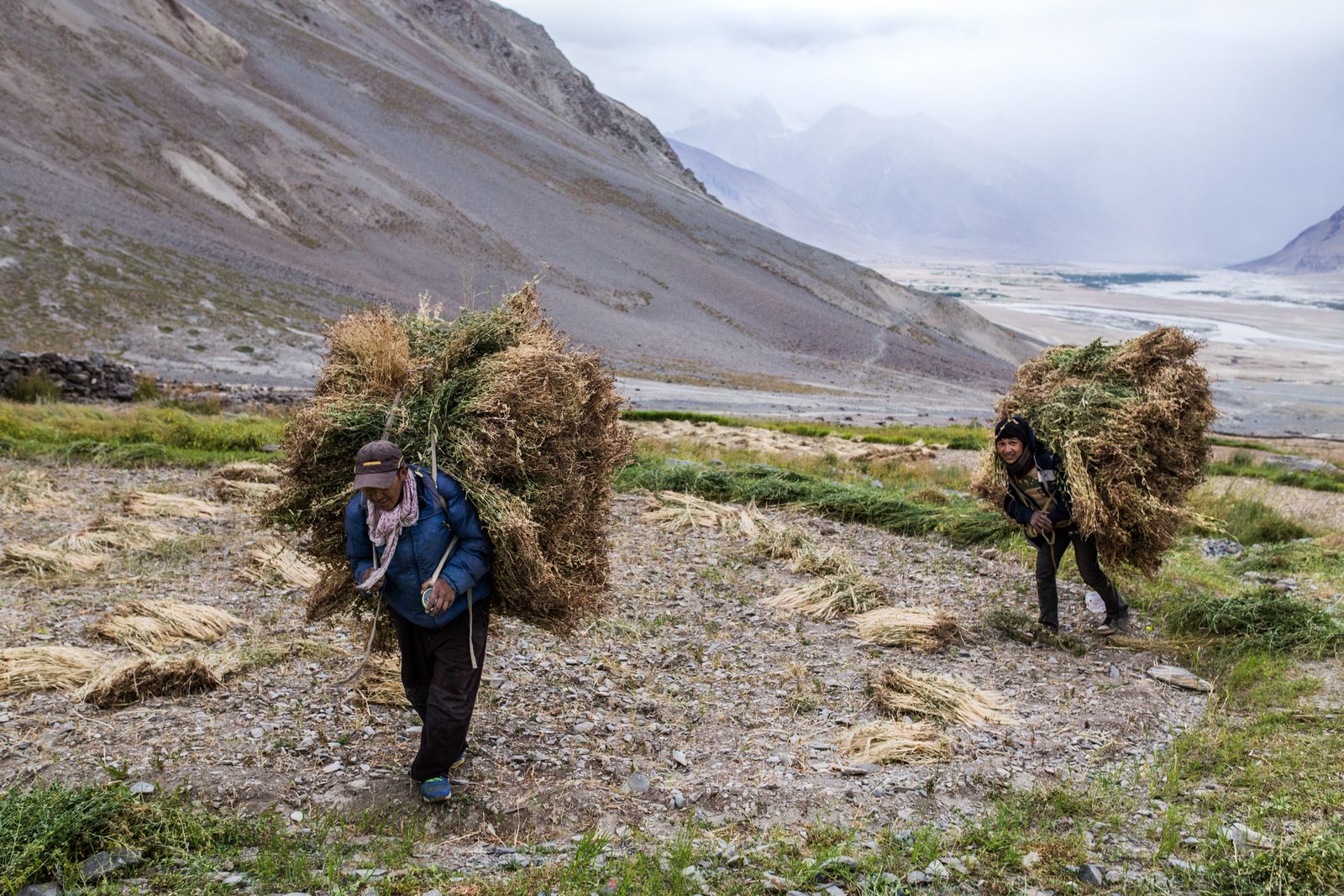 Tashi Stobdan and a Nepali seasonal worker carry livestock doffer from the fields back to Tashi’s house
